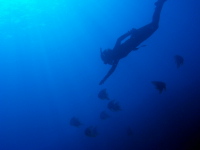 �L�[���[�h